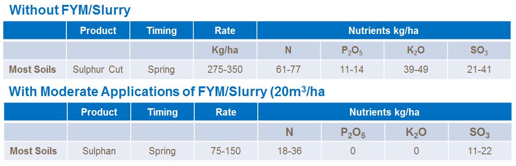 Willow fertiliser programme