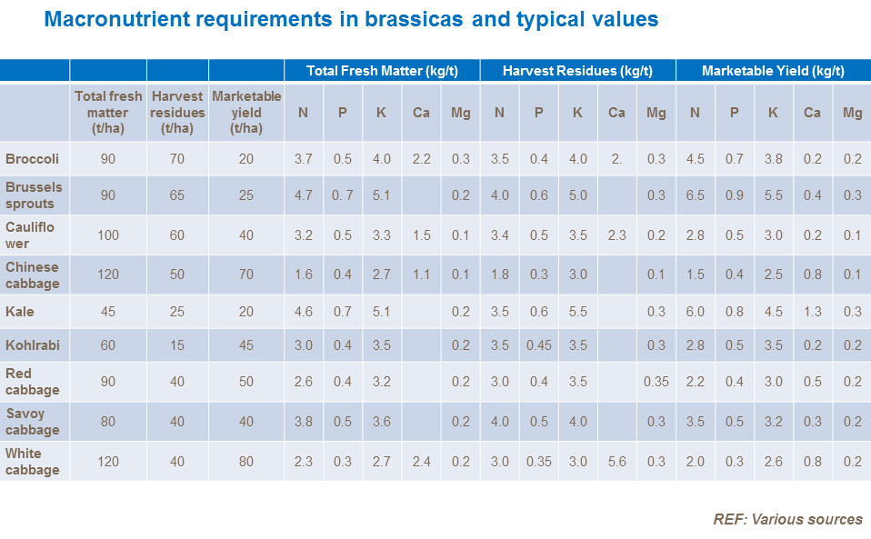 Macronutrients requirements by brassicas