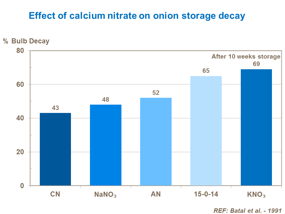 effect-of-calcium-nitrate-on-onion-storage-decay.png