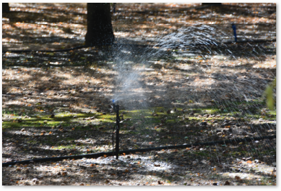 Maintain health pic.png