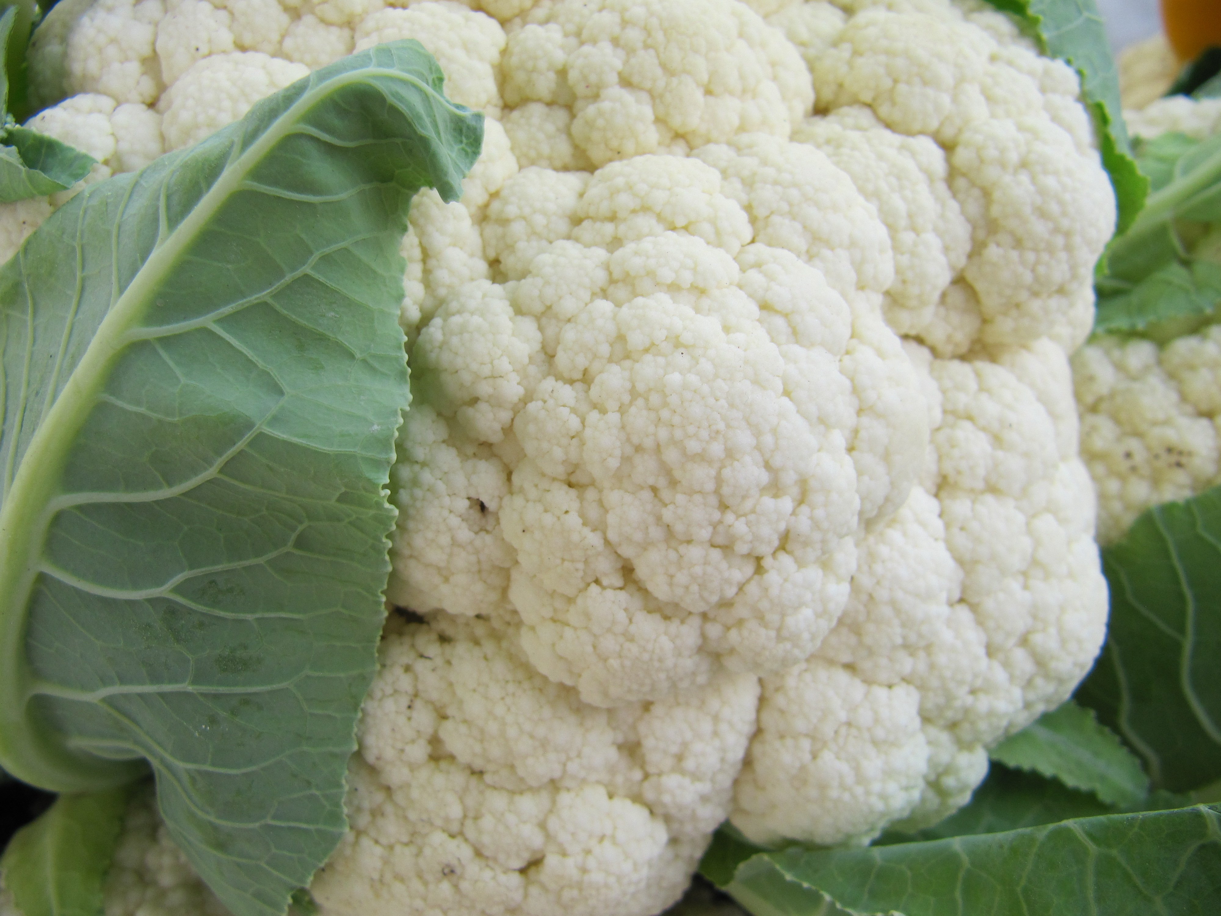 Improving vegetable brassica yield