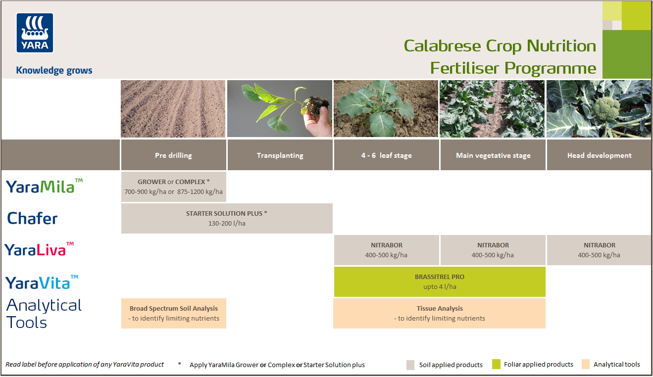 Broccoli fertiliser programme