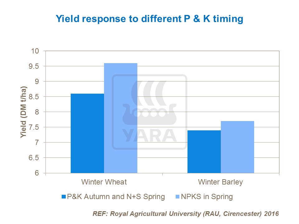 Yield response to different P & K timing