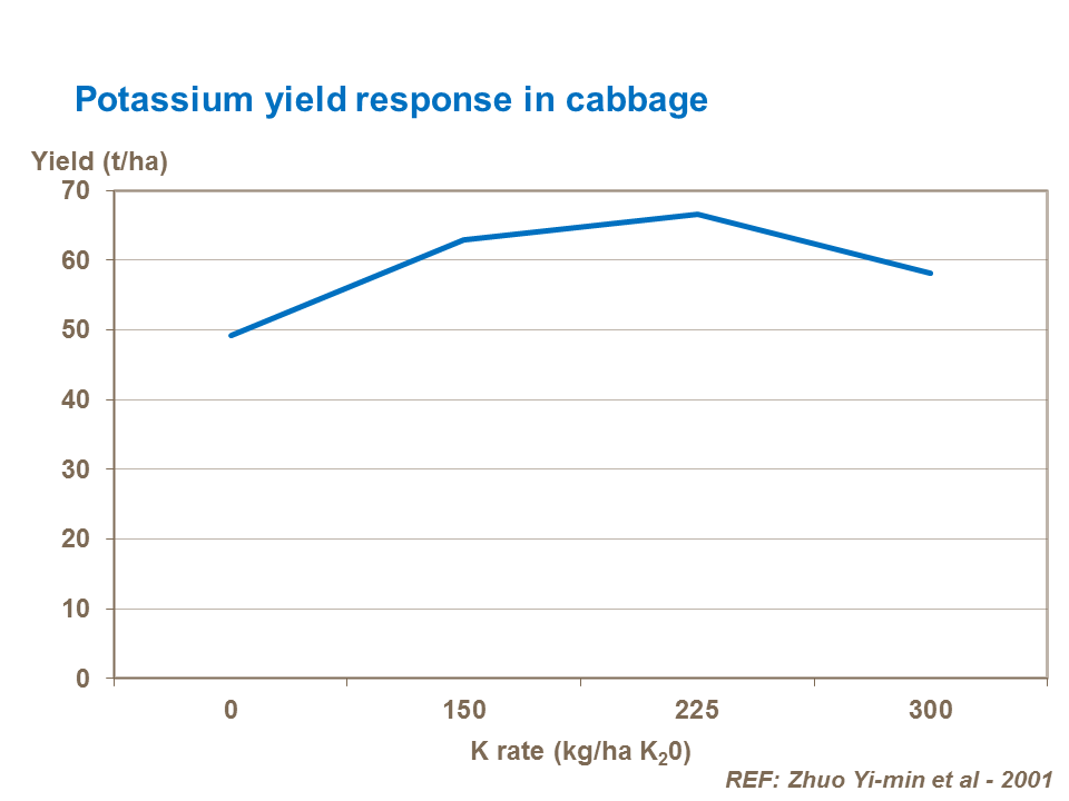 earliness 6-potassium-yield-response-in-cabbage.png