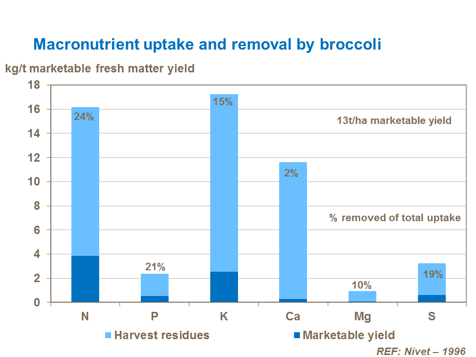 Macronutrient Uptake and Removal by Broccoli