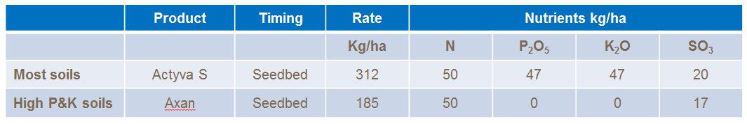 echium fertilser recomendations
