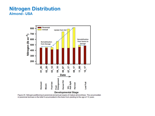 Nitro dis almond new.png
